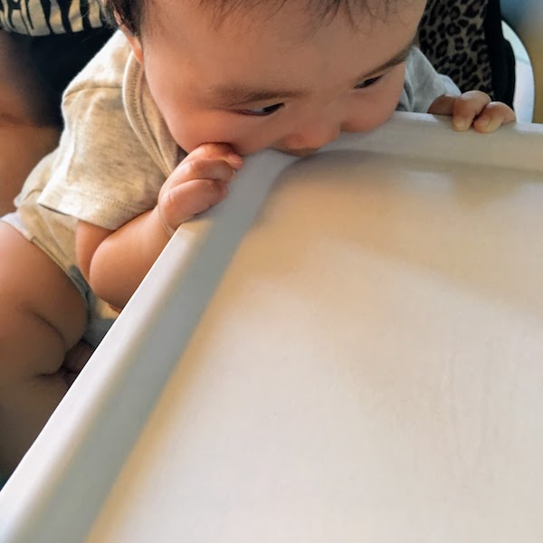 Baby biting a tray