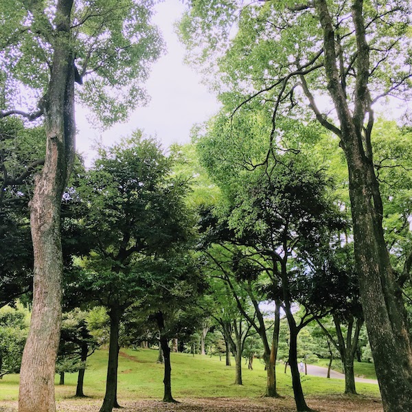 Yoyogi park 1