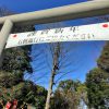 阿佐ヶ谷駅から徒歩2分、神明宮で初詣