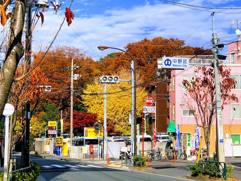 Autumn leaves in nakano