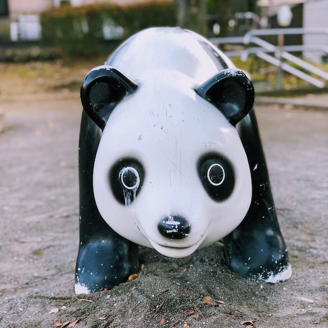 Panda in the park